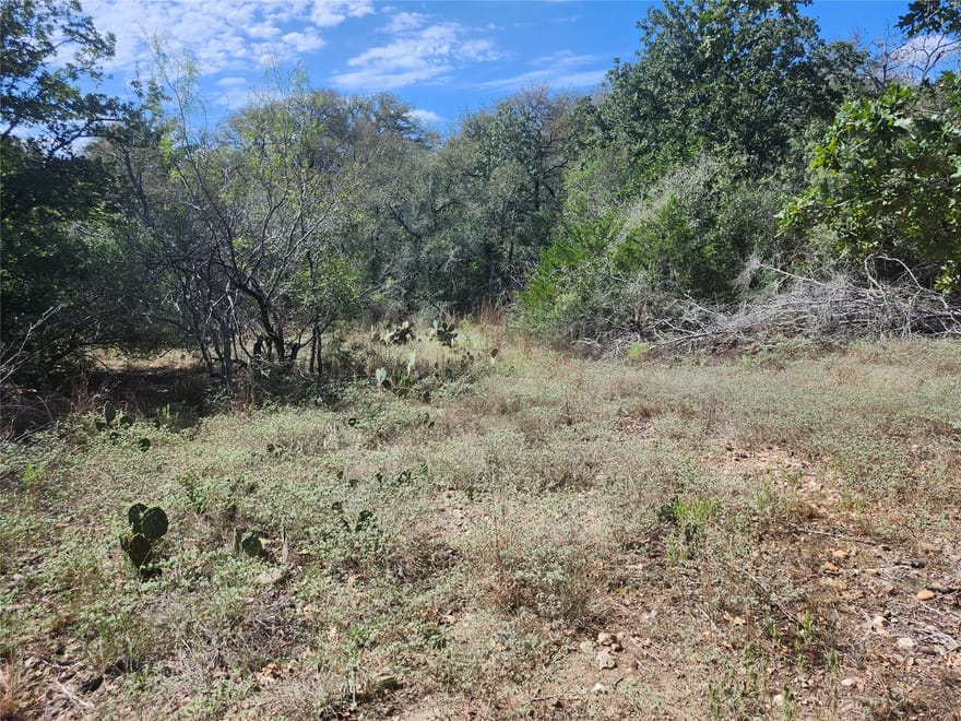 Escondido Dr, Del Valle, Texas