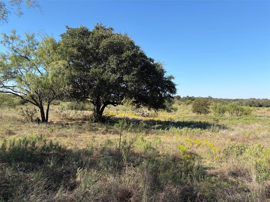 2965 Old Marble Falls Rd, Round Mountain, Texas