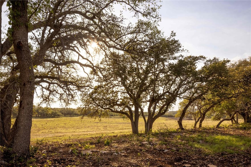 2390 Prochnow Rd, Dripping Springs, Texas