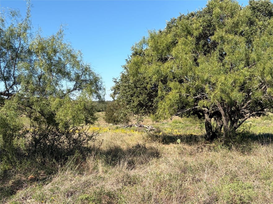 2965 Old Marble Falls Rd, Round Mountain, Texas