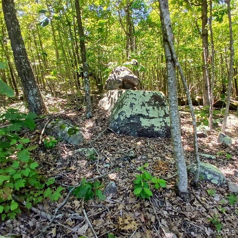 Easement, Annapolis, Missouri