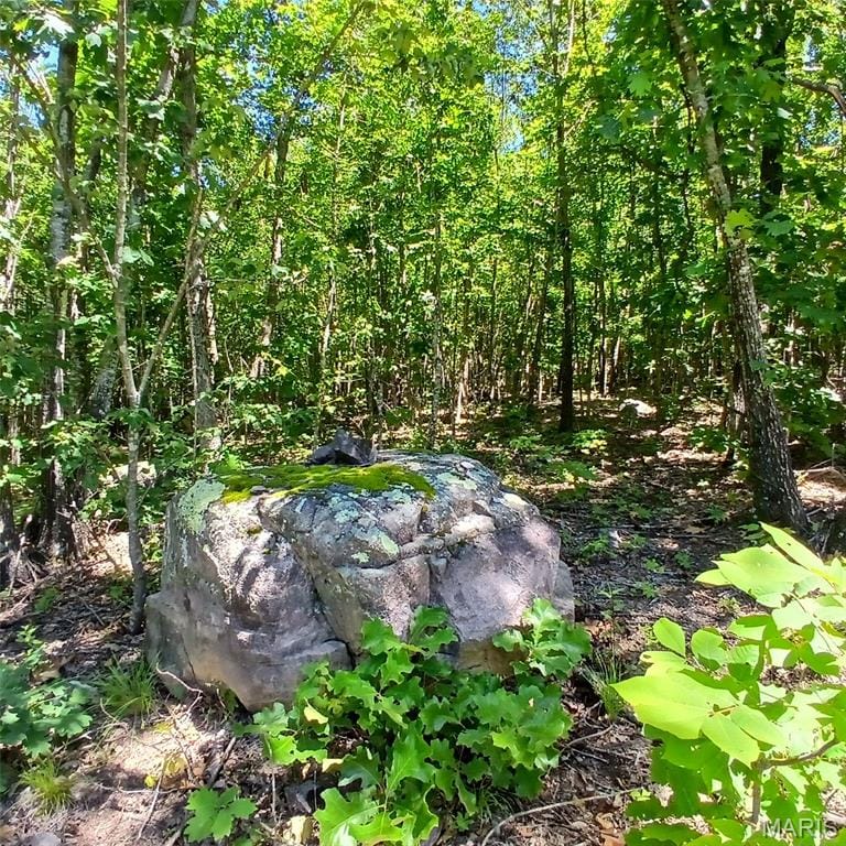 Easement, Annapolis, Missouri