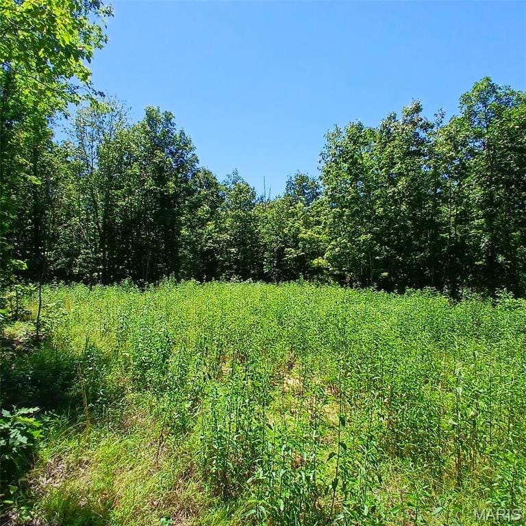 Easement, Annapolis, Missouri