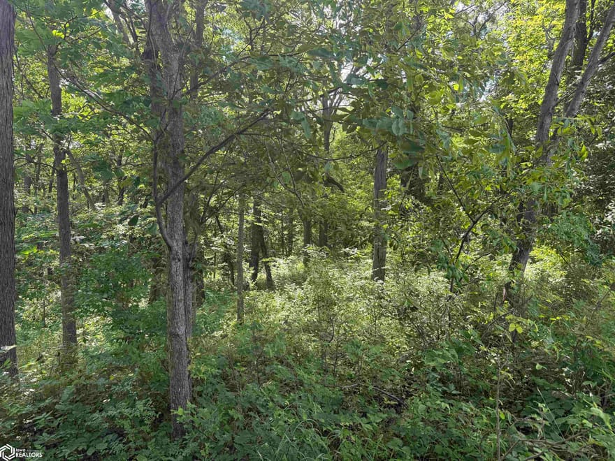 125 Th Street, Fairfield, Iowa