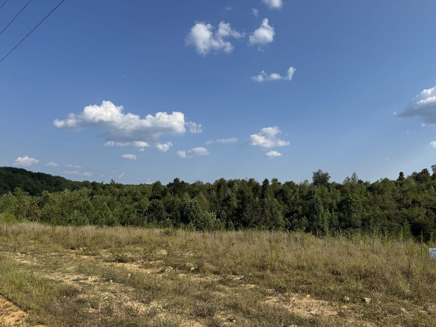 169 Twin Pines Rd, Lobelville, Tennessee