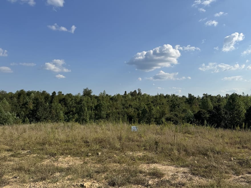 169 Twin Pines Rd, Lobelville, Tennessee
