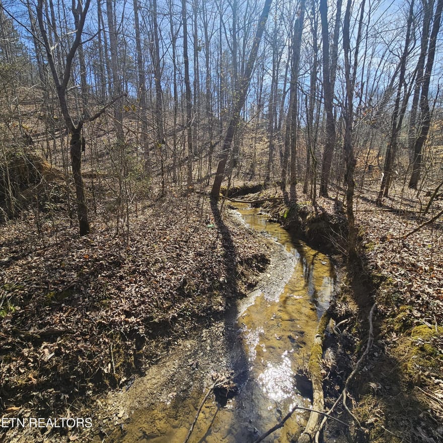 Lick Creek Rd, Tellico Plains, Tennessee