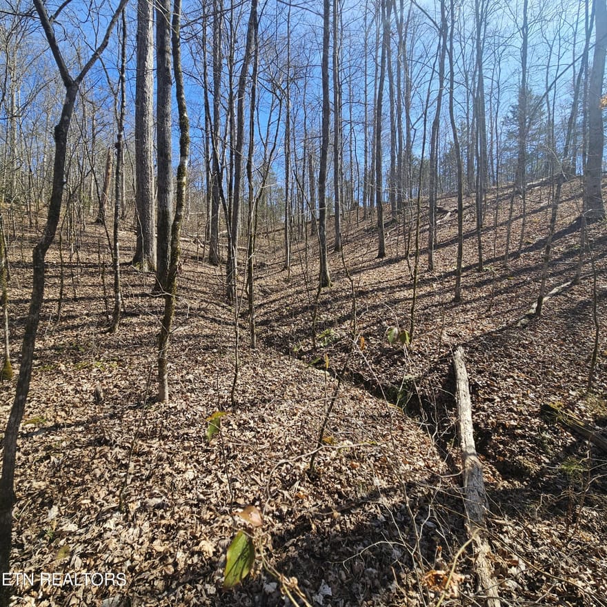 Lick Creek Rd, Tellico Plains, Tennessee