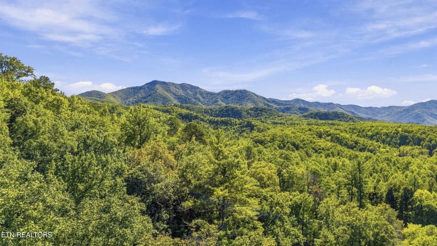 910 Windy Hill Way, Cosby, Tennessee