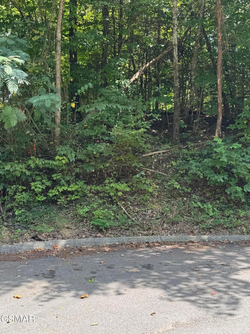 Sb Ogle Lane, Pigeon Forge, Tennessee