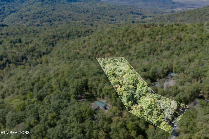 8 Buffalo Cove Lane, Jamestown, Tennessee