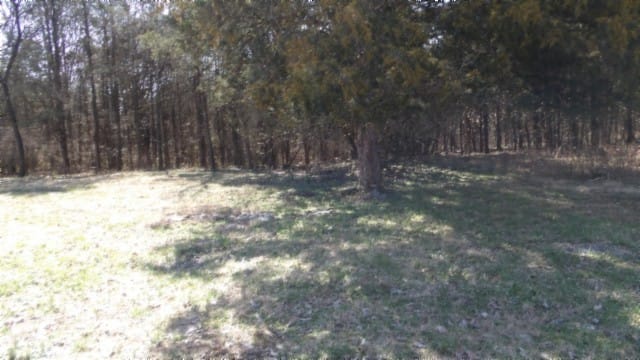 1586 Needmore Rd, Old Hickory, Tennessee