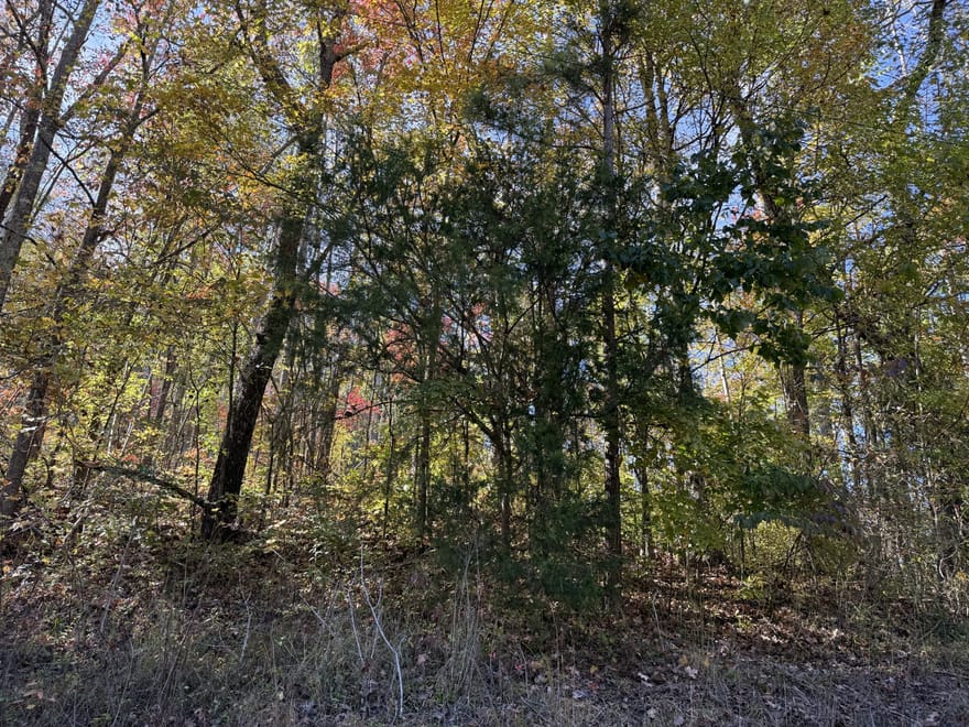 1755 Williams Rd, Pleasantville, Tennessee