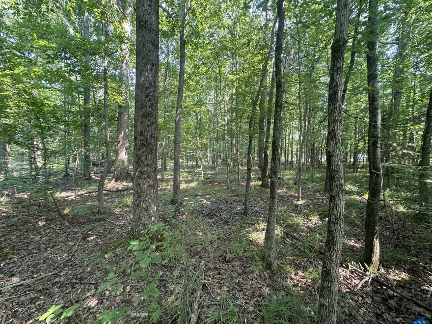 S Pinson Dr, White House, Tennessee