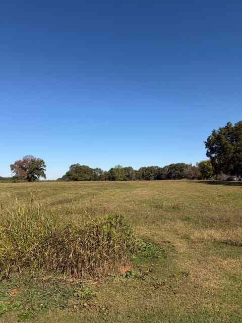 212 Oak St, Decherd, Tennessee