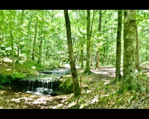 580 Dog Creek Rd, Lawrenceburg, Tennessee
