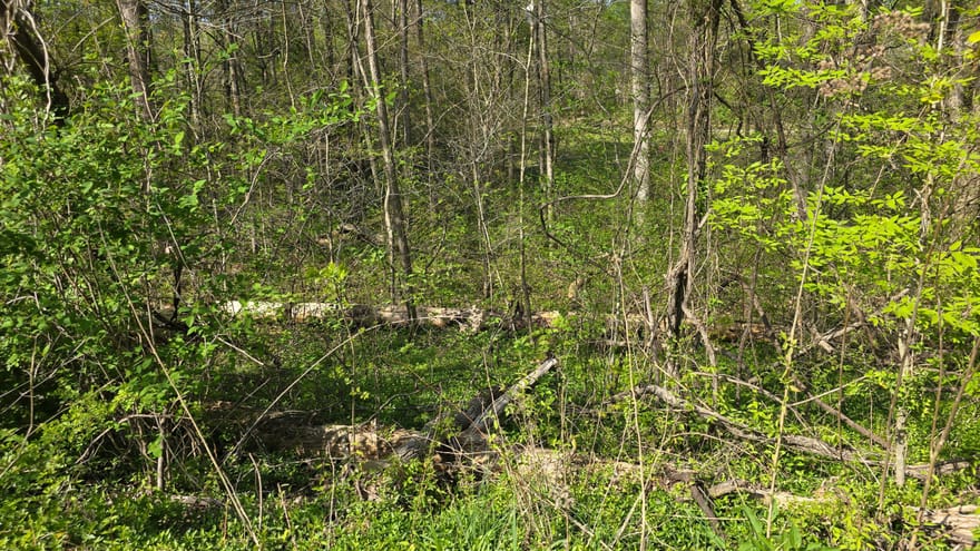 Lots 29, 30 Suncrest Drive, Somerset, Kentucky