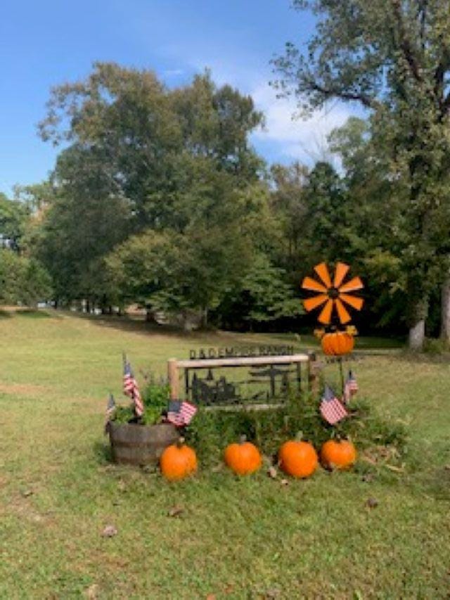 Lots 138-142 Willanco Road, Eddyville, Kentucky