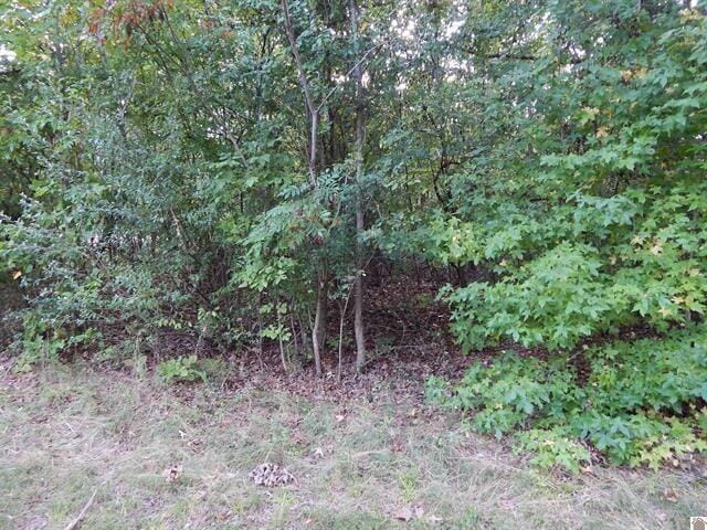 Lot 44 Forest Lane, Eddyville, Kentucky