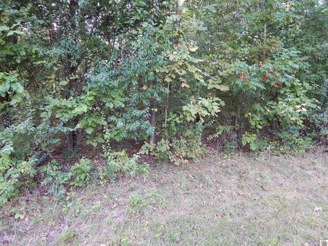 Lot 45 Forest Lane, Eddyville, Kentucky