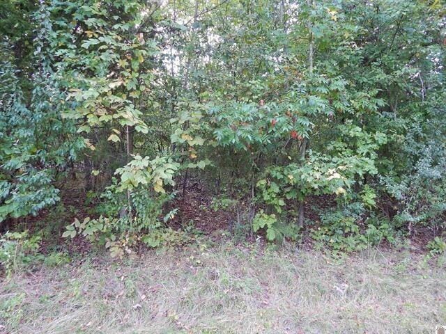 Lot 45 Forest Lane, Eddyville, Kentucky
