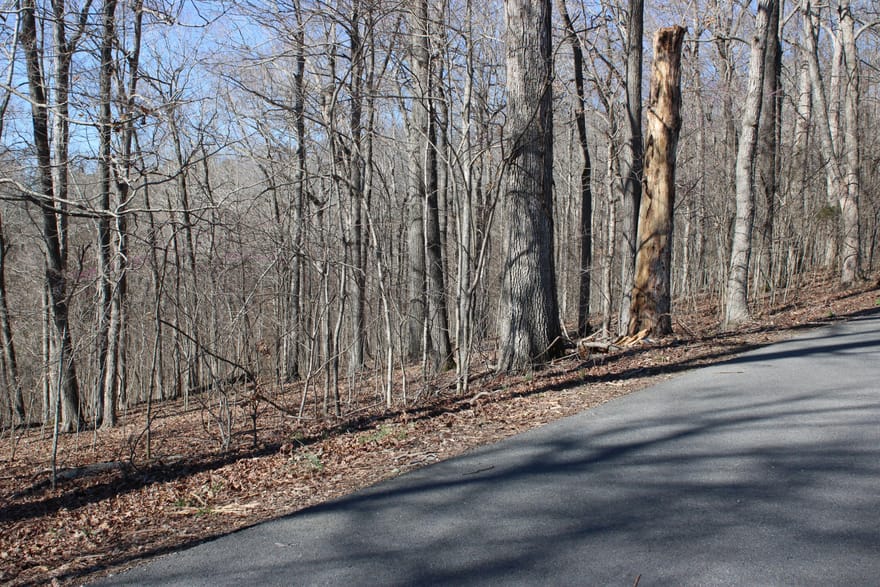 Lot 42 and Lot 43 Lisanby Road, Eddyville, Kentucky