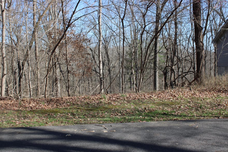 Lot 54 and Lot 55 Lisanby Road, Eddyville, Kentucky