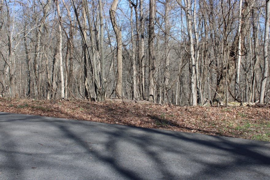 Lot 54 and Lot 55 Lisanby Road, Eddyville, Kentucky