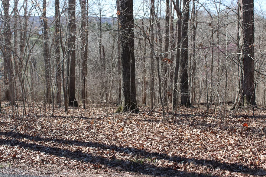 Lot 44 and Lot 45 Lisanby Road, Eddyville, Kentucky
