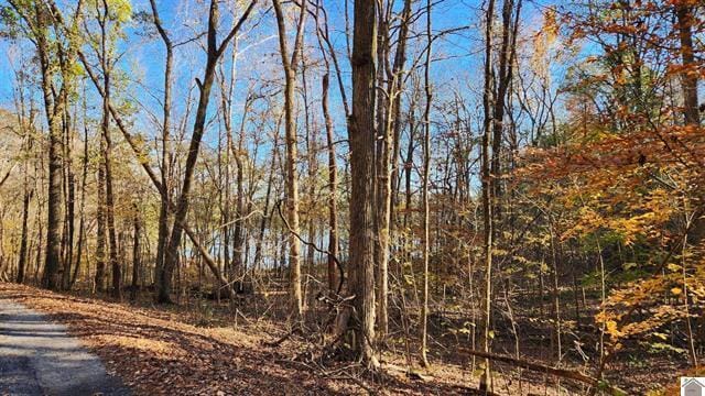 Lot 54B & 55E Commerce Landing Road, Eddyville, Kentucky