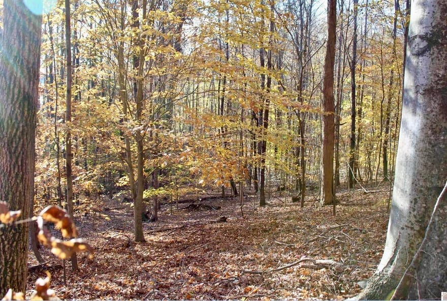 Lots 27E - 32E Parkersville Road, Eddyville, Kentucky