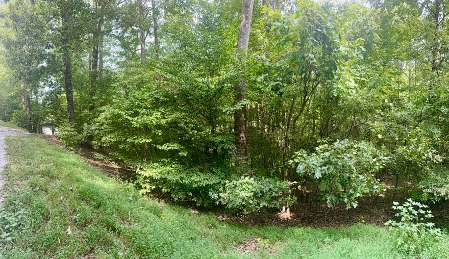 Lot 24E, Lot 25E, Lot 26E Parkersville Road, Eddyville, Kentucky