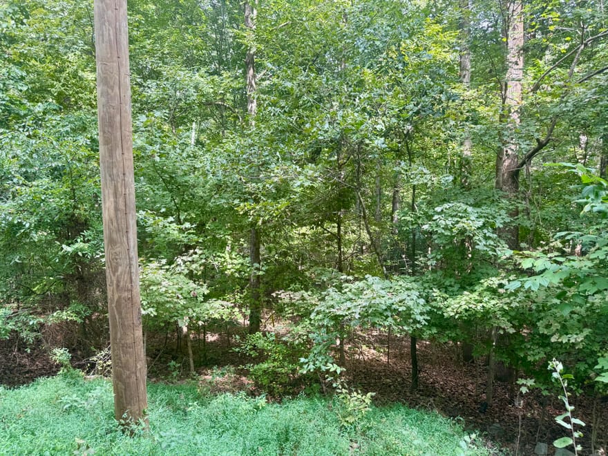 Lot 24E, Lot 25E, Lot 26E Parkersville Road, Eddyville, Kentucky