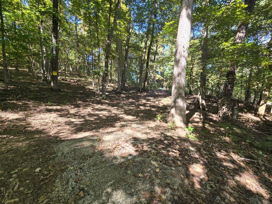 3774 Needmore Road, Princeton, Kentucky