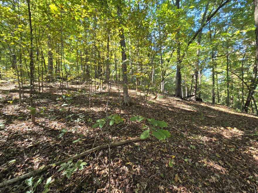 3774 Needmore Road, Princeton, Kentucky