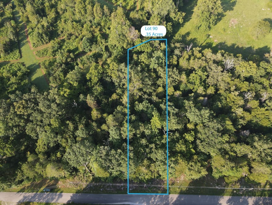 Lot 90 Lakeshore Drive, Burnside, Kentucky