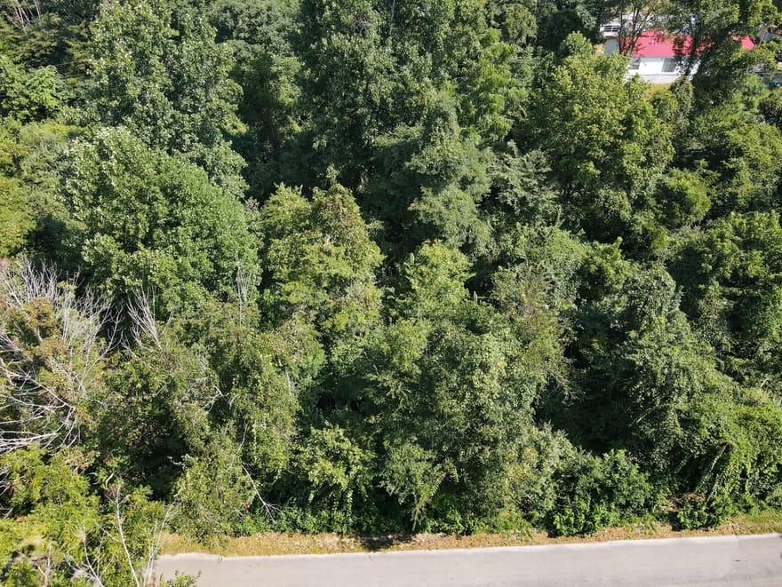 Lot 779 Scenic Trail Road, Burnside, Kentucky