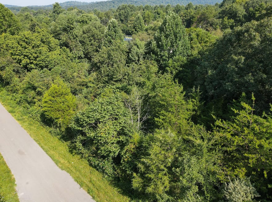 Lot 693 Briarwood Drive, Burnside, Kentucky