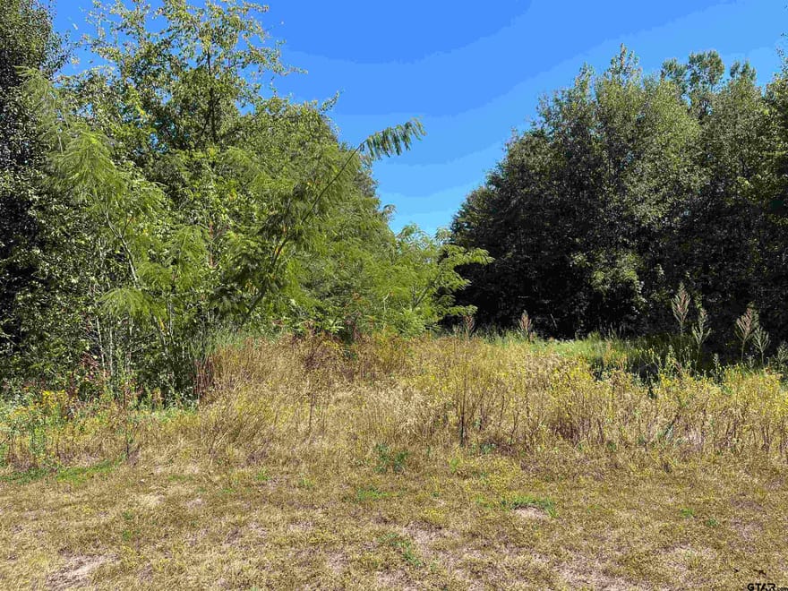 TBD Tract 1 Gene Dr., Mt Pleasant, Texas