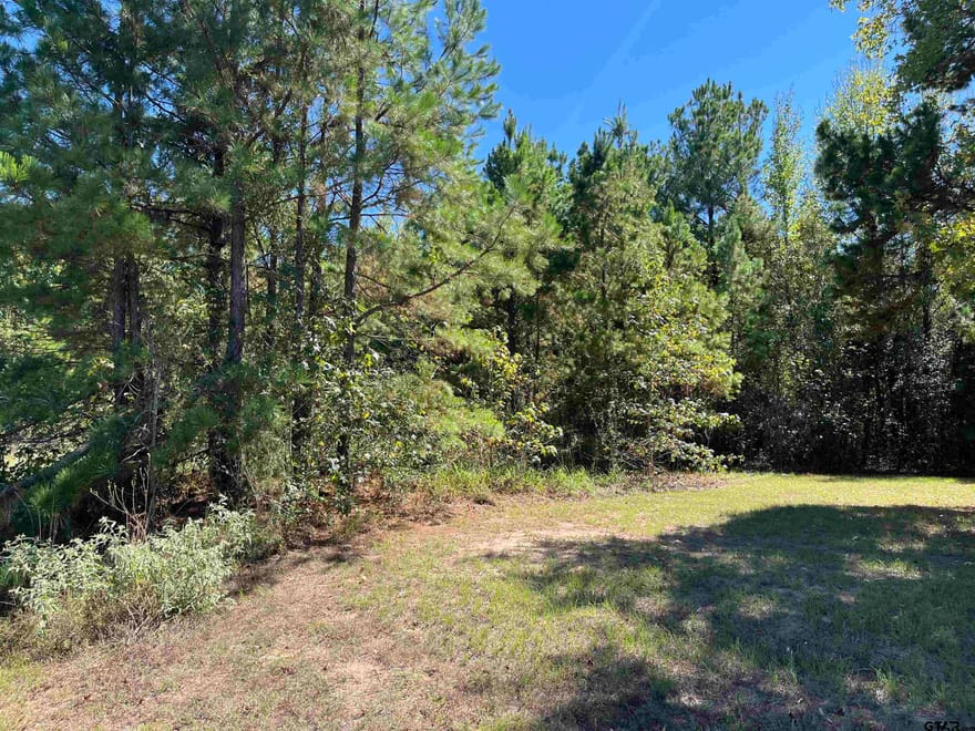 TBD Ford Rd., Mt Pleasant, Texas