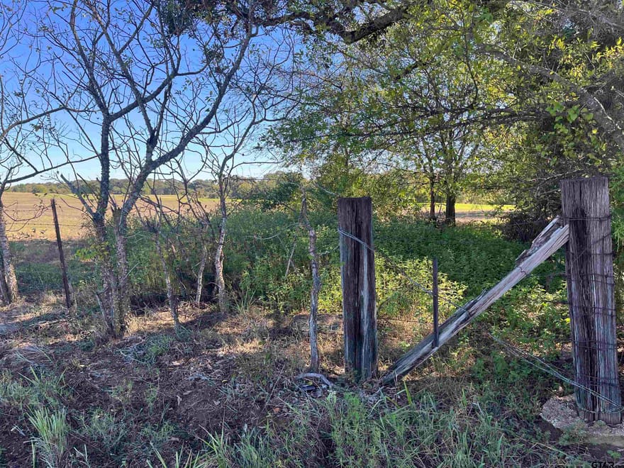 TBD Tract 4 Cr 4875, Mt Pleasant, Texas