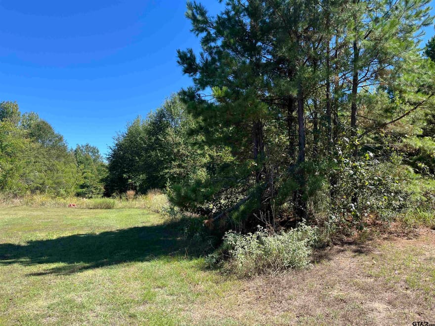 TBD Ford Rd., Mt Pleasant, Texas