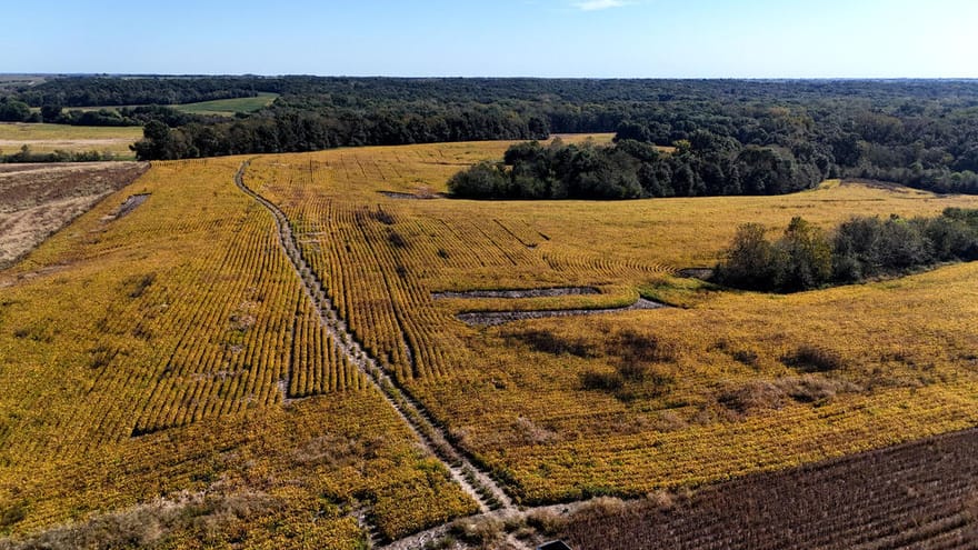 Marble Road, Milan, Missouri