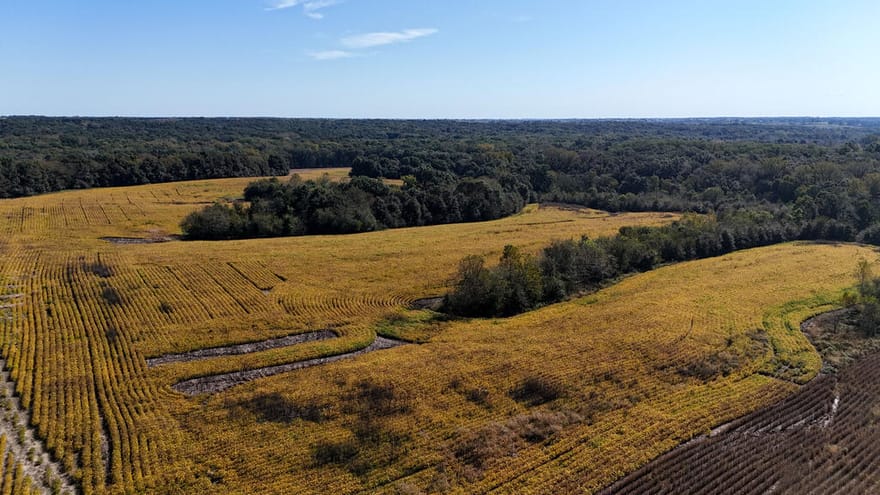 Marble Road, Milan, Missouri