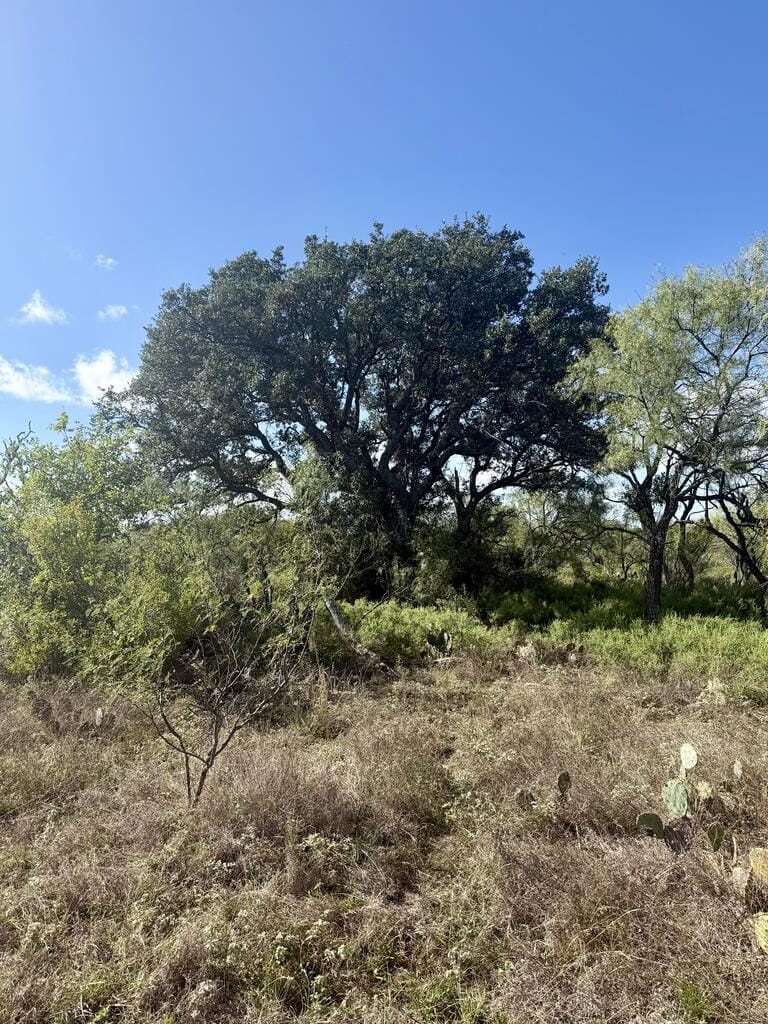 1981 Kothman Rd, Mason, Texas