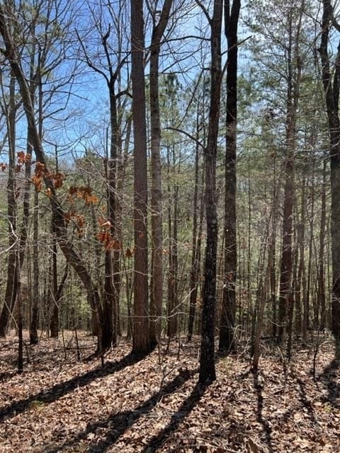 LT 4 Hunters Ridge, Ellijay, Georgia
