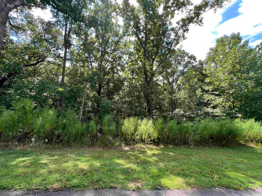 LOT 187 Northshore Drive, Cleveland, Georgia