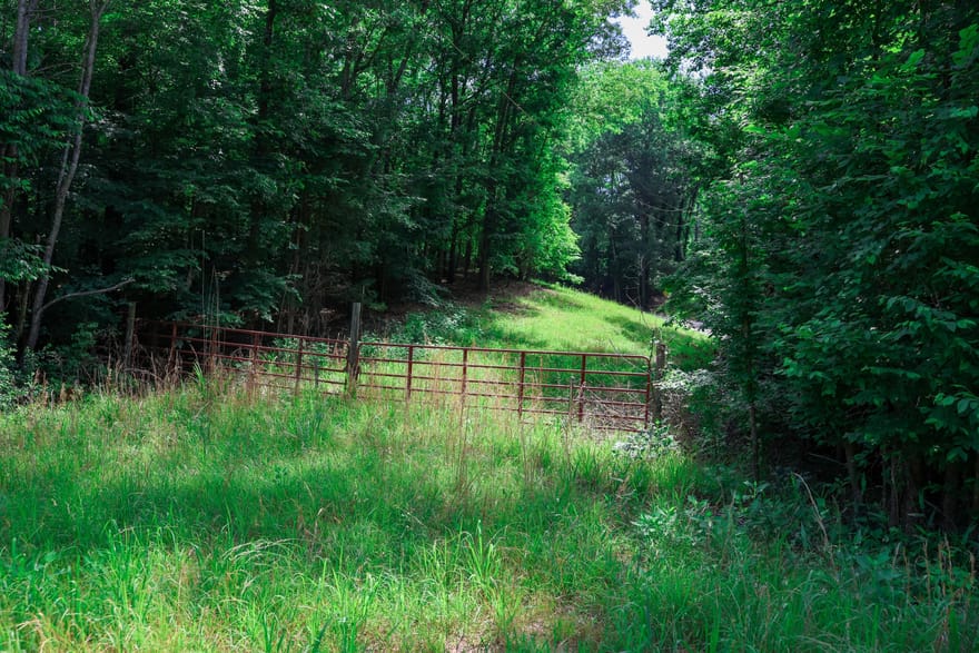 Highway 330, Athens, Georgia