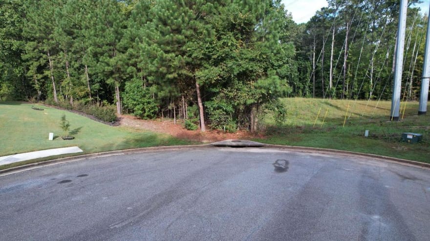 3045 Wood Valley Court, Loganville, Georgia