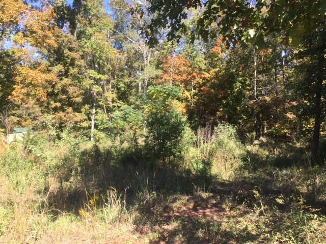 303 High Point Trail, Milledgeville, Georgia